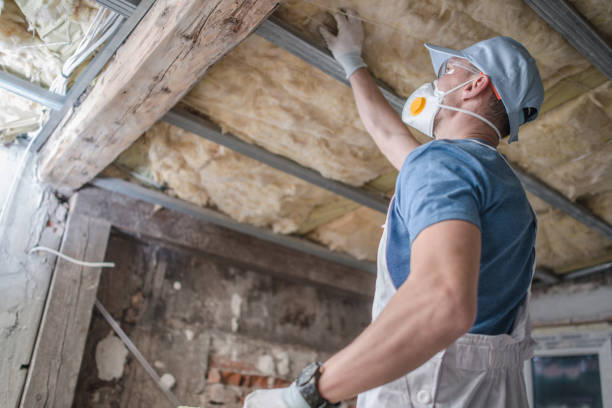 Best Commercial Insulation in Cozad, NE