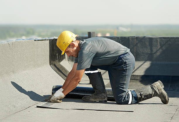 Best Insulation Maintenance and Repair in Cozad, NE